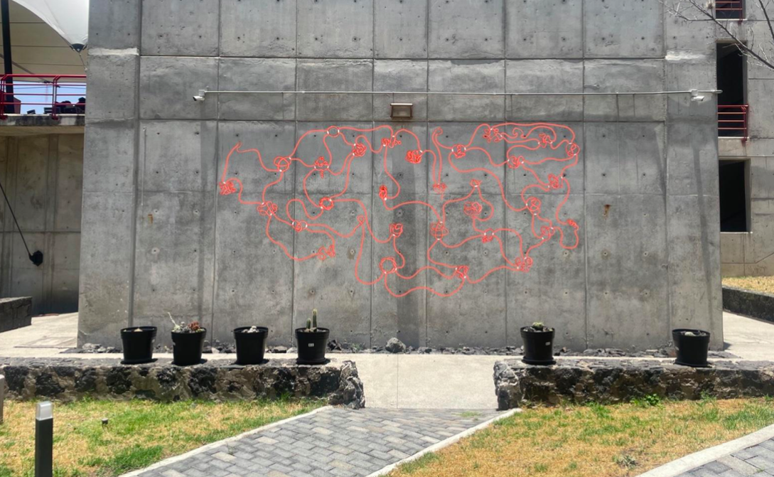 mur des noeuds à l'UNAM